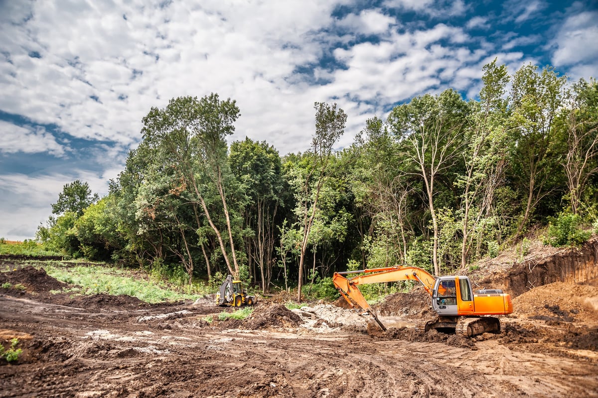 An excavator clearing a wooded site beside a creek for construction access