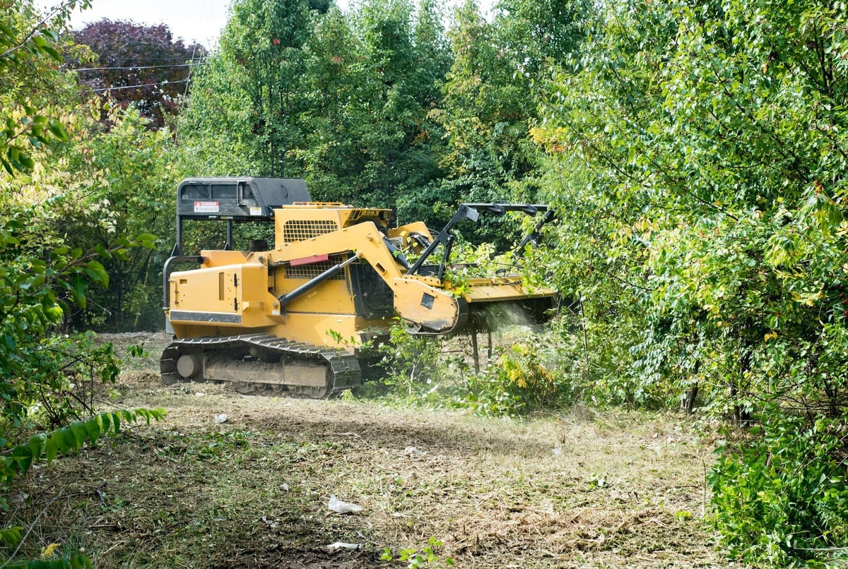 Forestry mulcher knocking down and grinding up small trees and underbrush