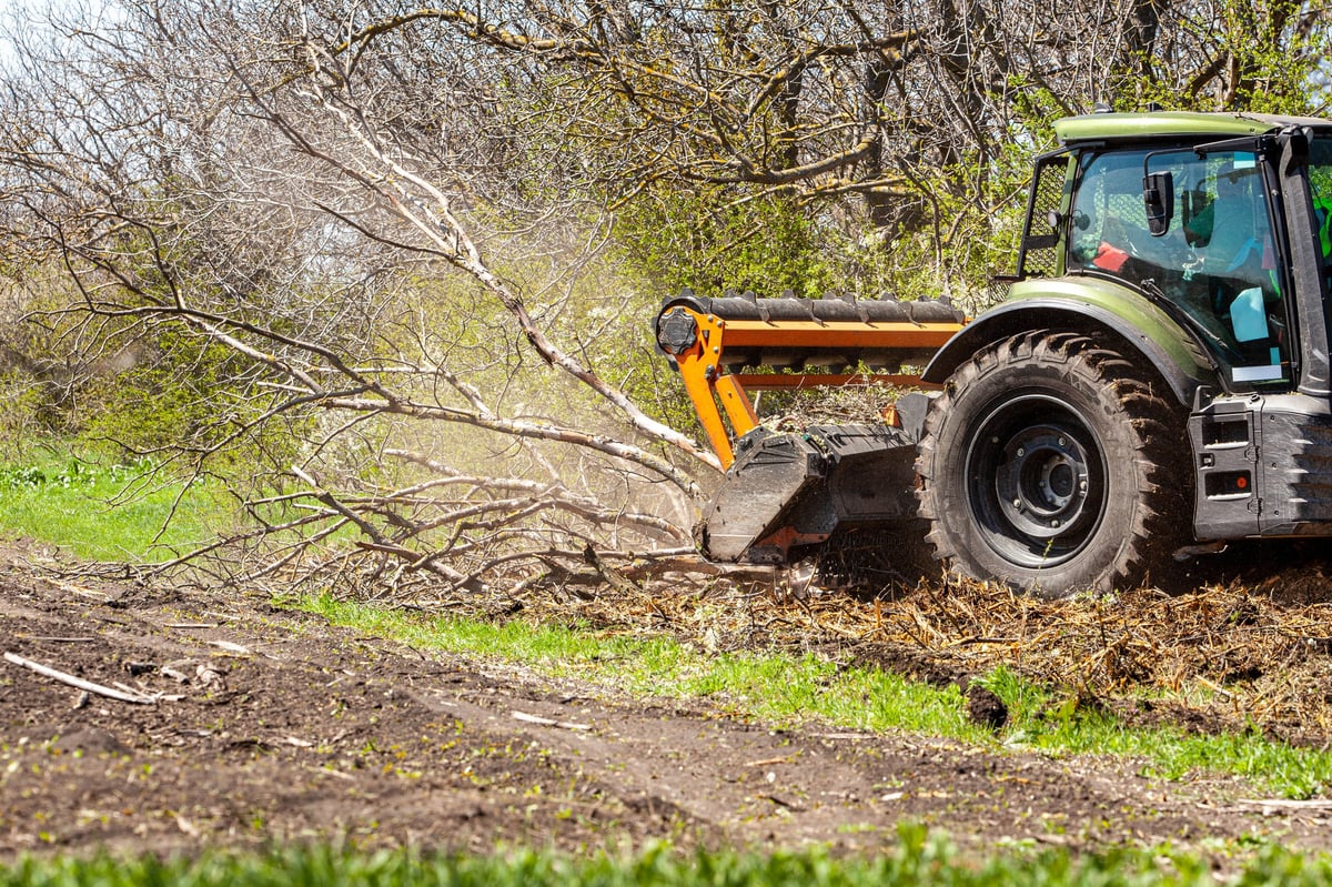 Tractor specialized in forest clearing working through dense trees and bushes