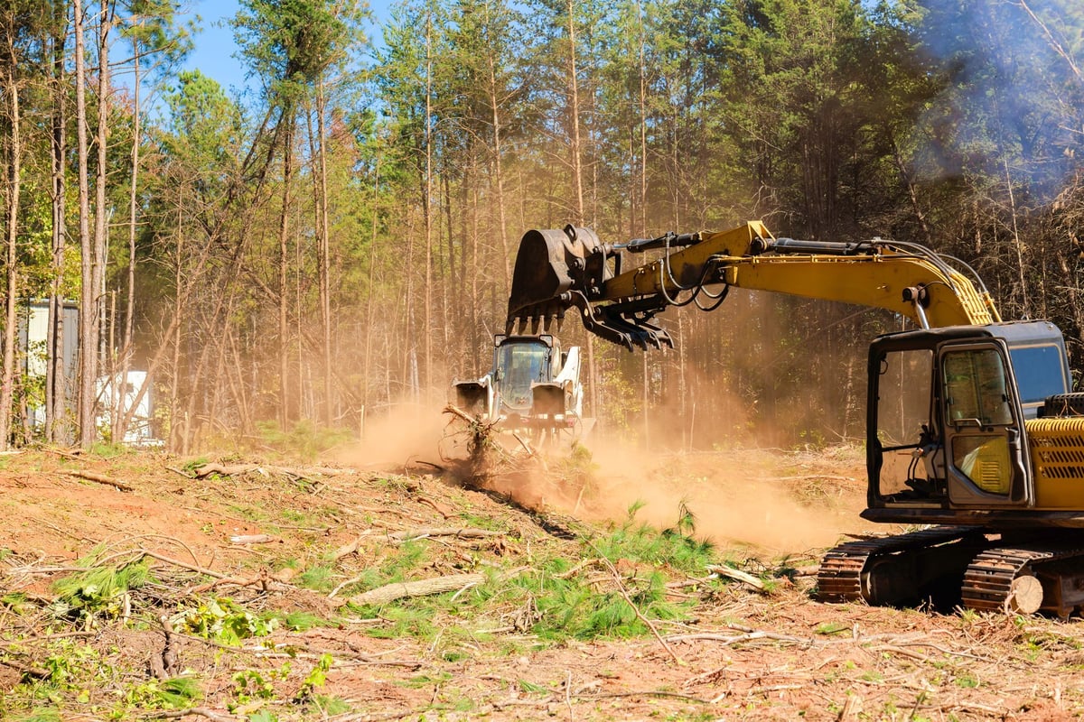 Excavators and bulldozers removing trees and debris to prepare a forested site for construction